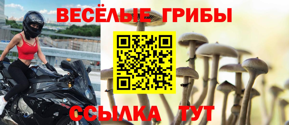 Светлоград  Галлюциногенные грибы Psilocybe  Вход с VPN 