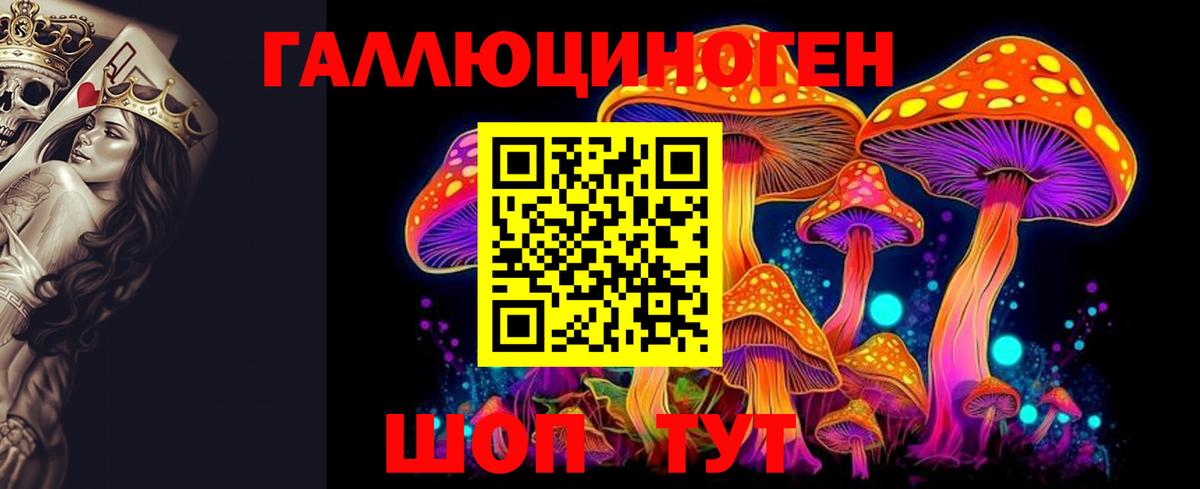 Галлюциногенные грибы Psilocybe Светлоград
